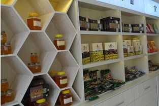 東莞特產(chǎn)展柜設(shè)計廠網(wǎng)站設(shè)計 融合地域特色與現(xiàn)代展示技術(shù)