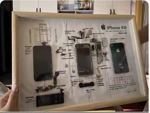 新興職業(yè)探秘 玩偶修復(fù)師、手機(jī)入殮師和貓糧品嘗師月入過(guò)萬(wàn)的秘密